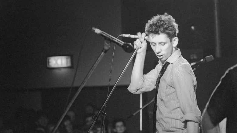 Crock Of Gold: A Few Rounds With Shane MacGowan (2020)