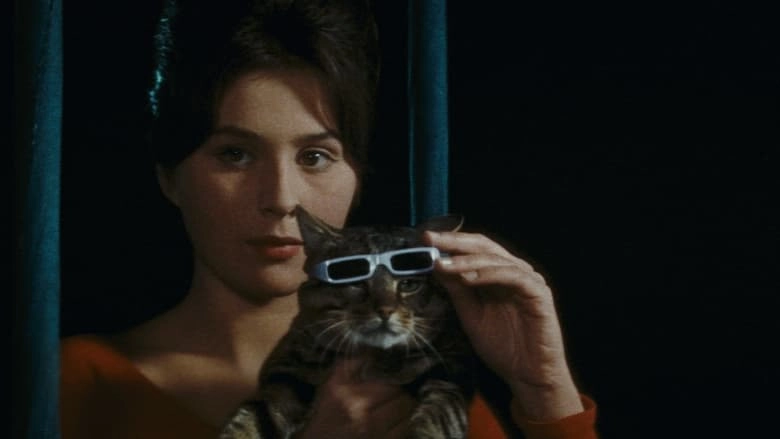 When The Cat Comes (1963)