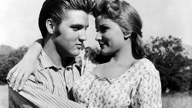 Love Me Tender (1956)