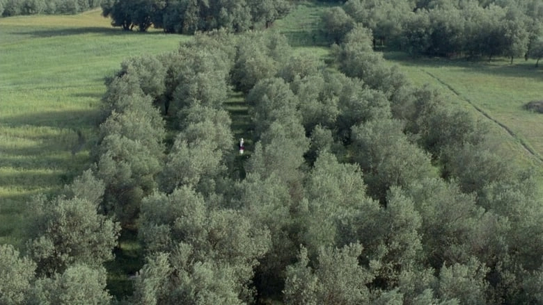 Through The Olive Trees (1994)