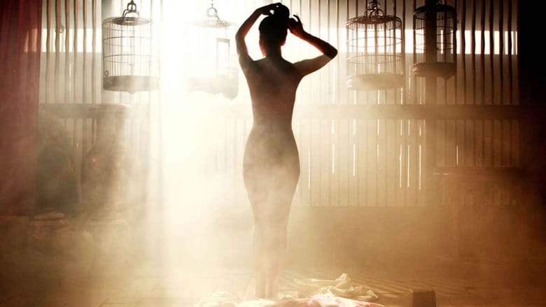 Portrait Of A Beauty (2008)