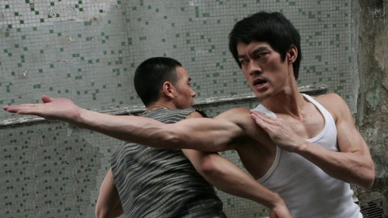 The Legend Of Bruce Lee (2009)