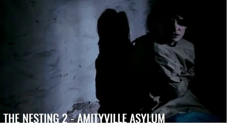 The Amityville Asylum (2013)