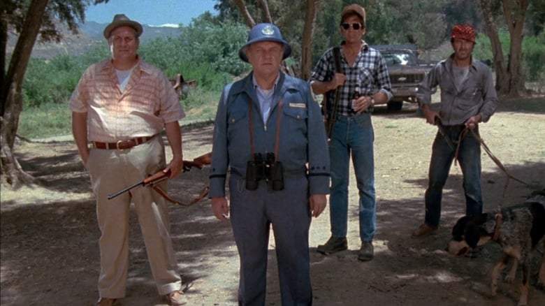 Dark Night Of The Scarecrow (1981)