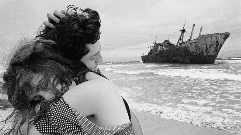 Terra Estrangeira (1996)