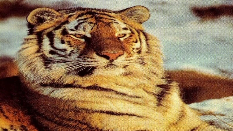 Tigers Of The Snow (1997)