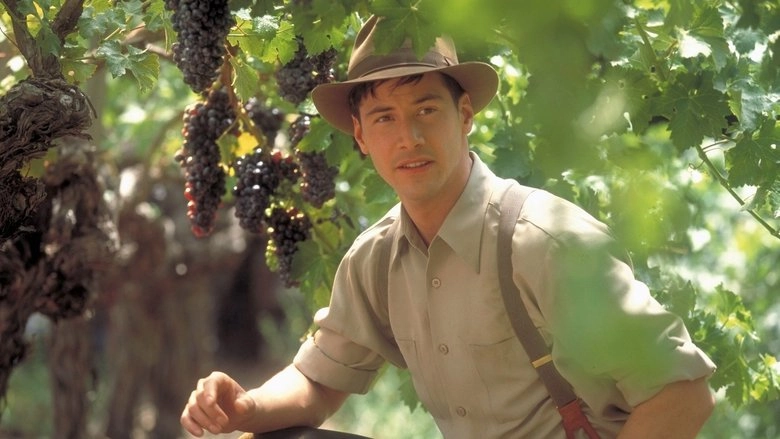 A Walk In The Clouds (1995)