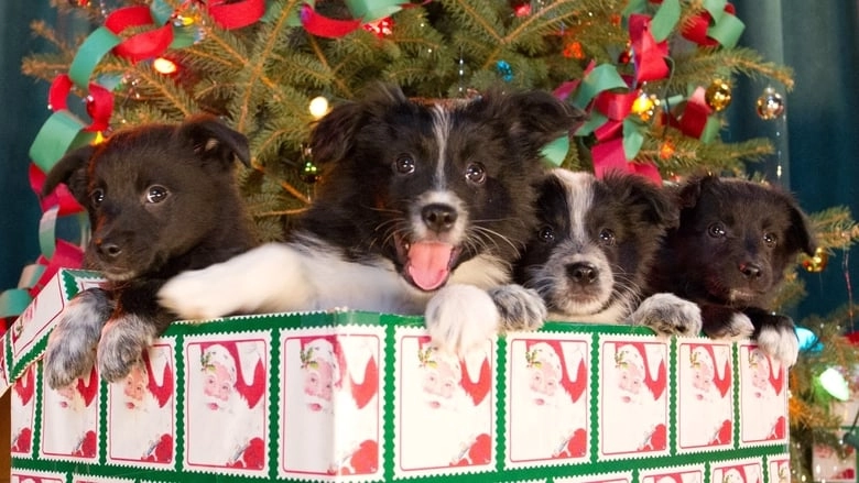 12 Dogs Of Christmas: Great Puppy Rescue (2012)