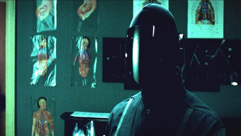 The Answer (2015)