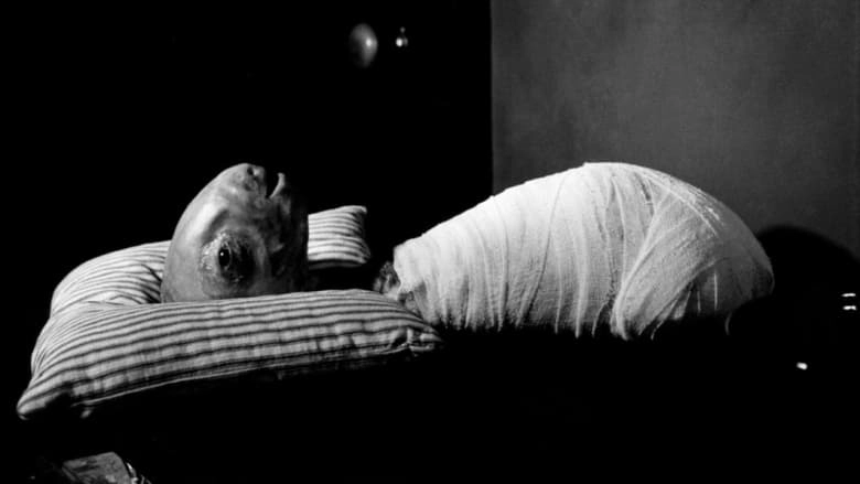 Eraserhead (1978)