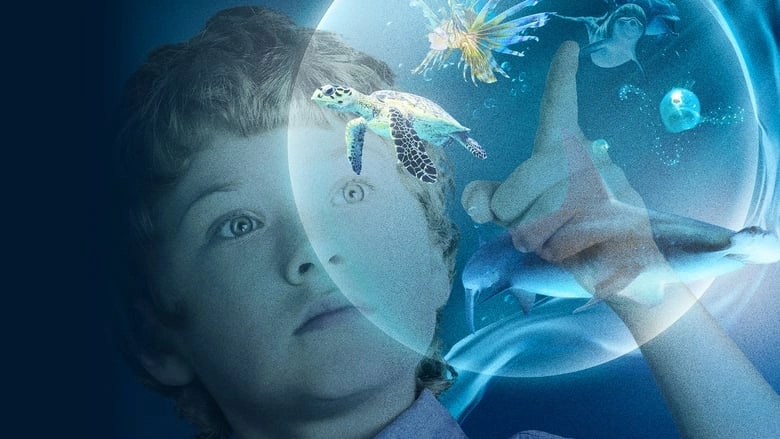 Wonders Of The Sea (2017)