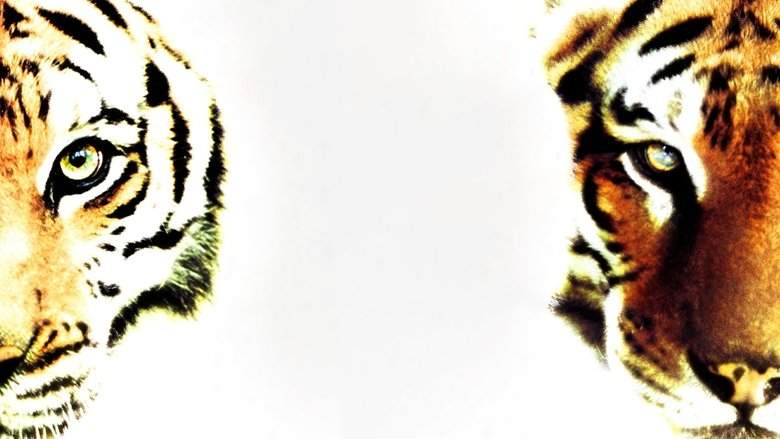 Two Brothers (2004)