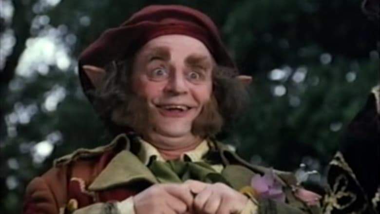 Spellbreaker: Secret Of The Leprechauns (1996)