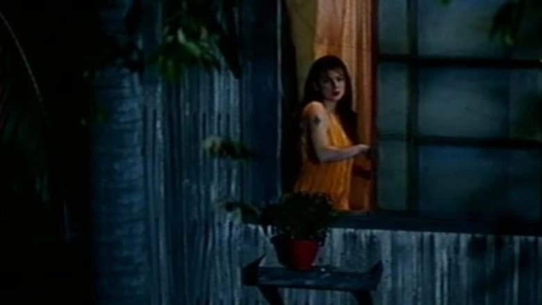 Ang Babae Sa Bintana (1998)