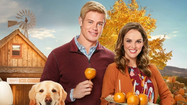 Love, Fall & Order (2019)