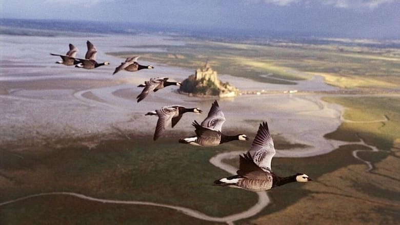 Winged Migration (2001)