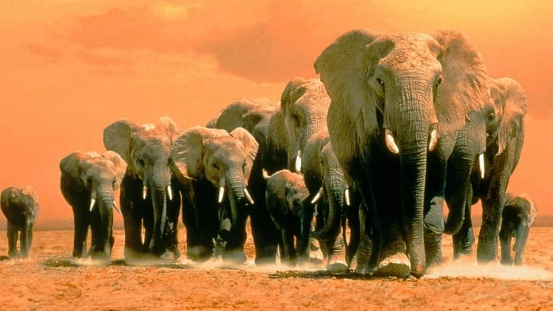 Africa's Elephant Kingdom (1998)