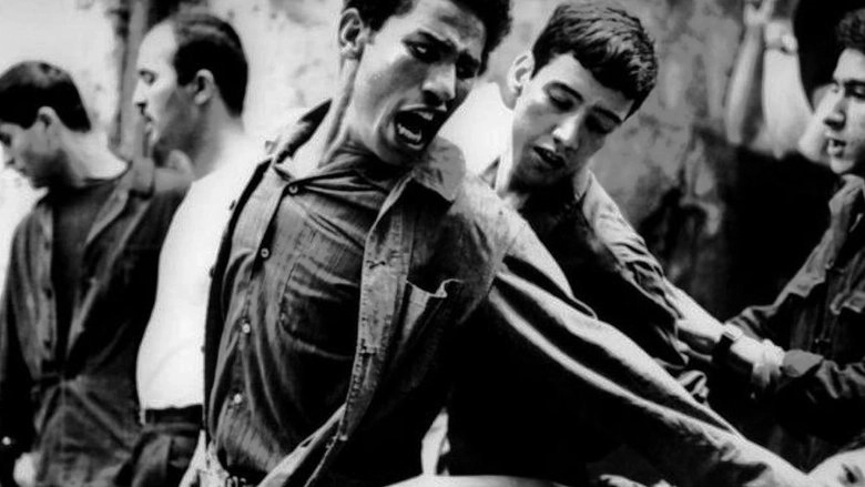 The Battle Of Algiers (1966)