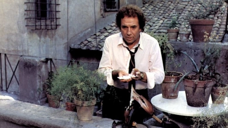 Il Gatto (1977)