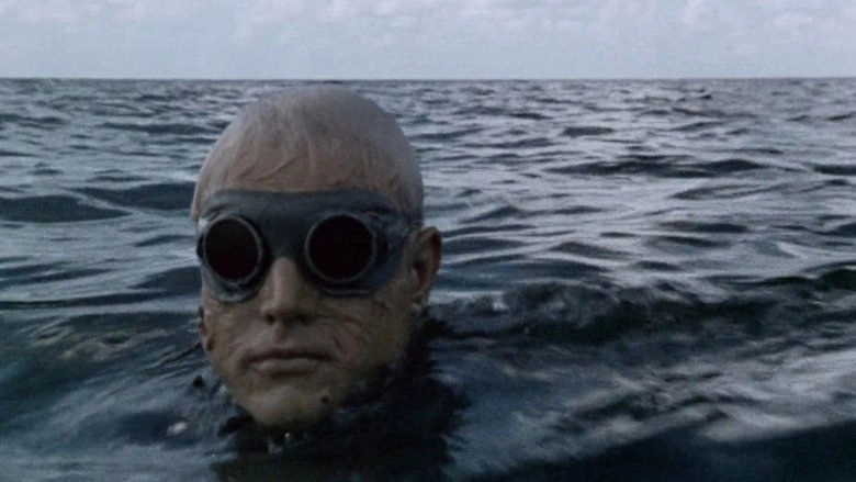 Shock Waves (1977)