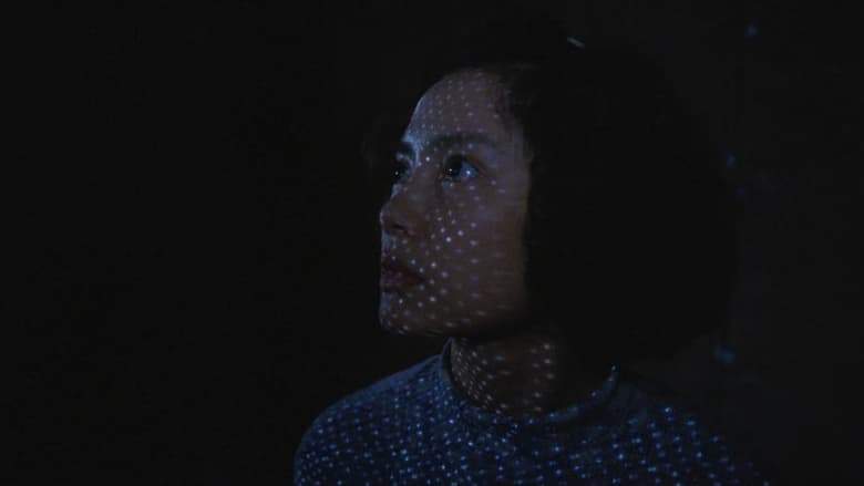 Goodbye, Dragon Inn (2003)