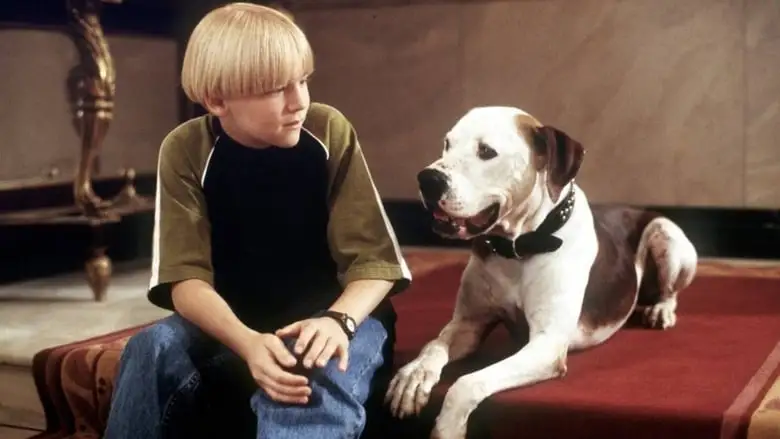 The Pooch And The Pauper (2000)