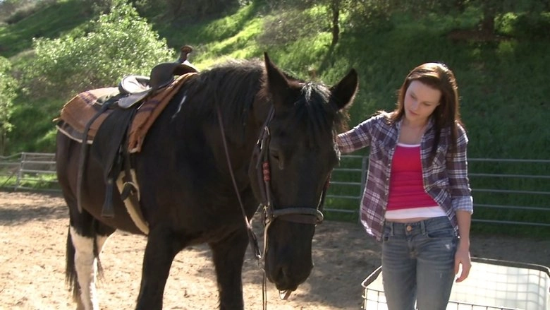 A Talking Pony!?! (2013)