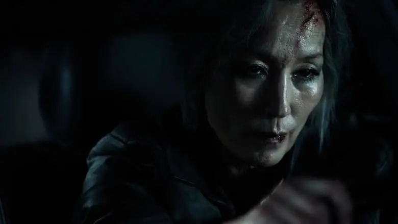 The Old Woman With The Knife (2025)