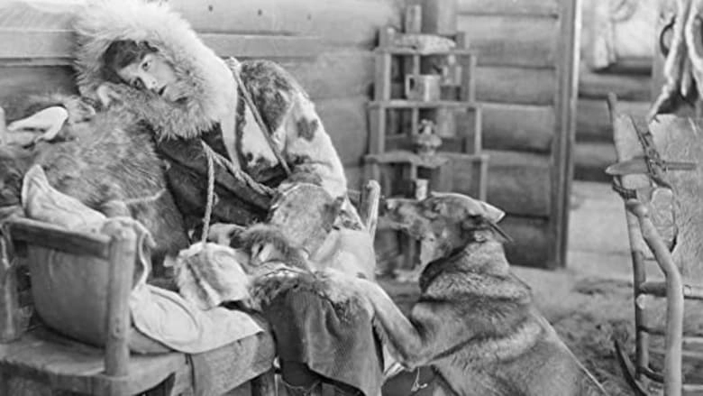 Tracked In The Snow Country (1925)