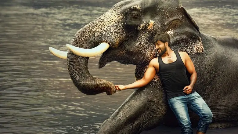 Raja Bheema (2025)