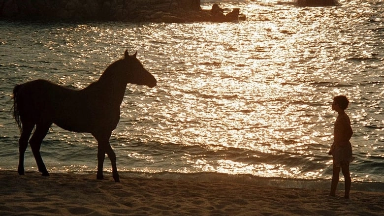 The Black Stallion (1979)