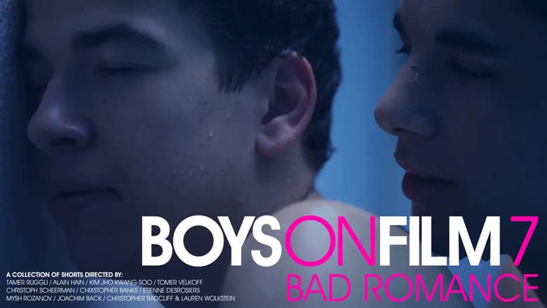 Boys On Film 7: Bad Romance (2011)