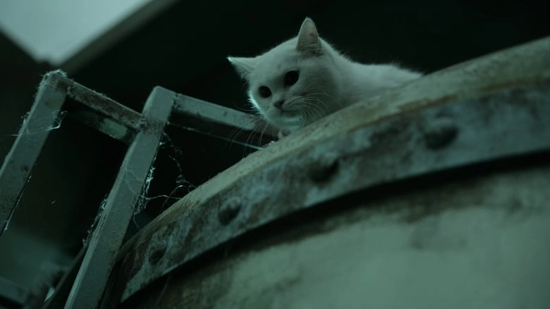 The Cat (2011)