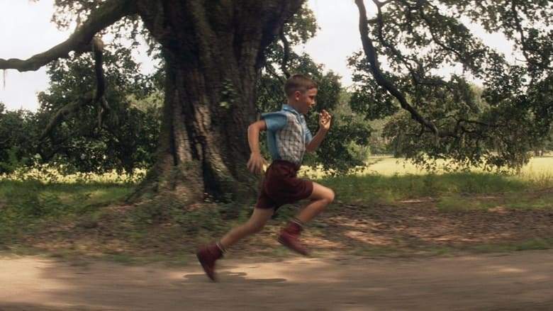 Forrest Gump (1994)