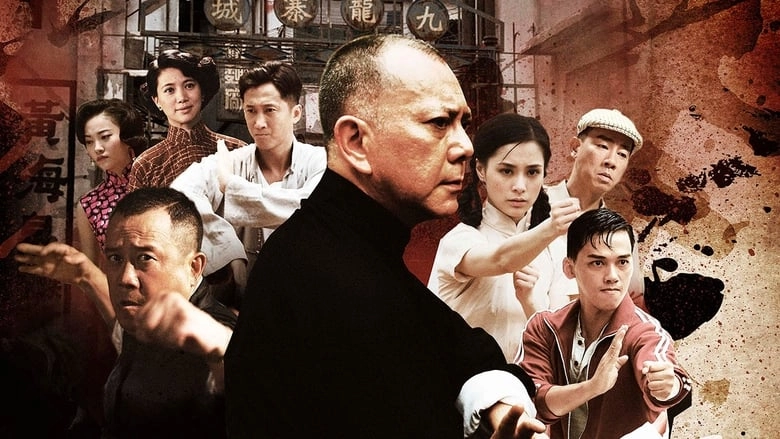 Ip Man: The Final Fight (2013)