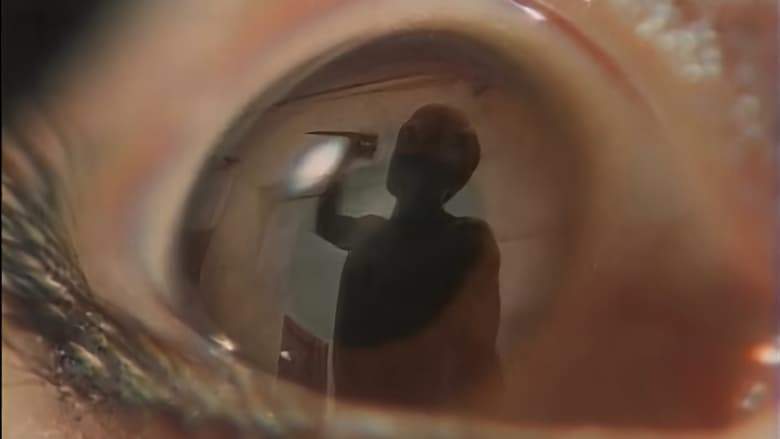 Lustful Revenge (1996)