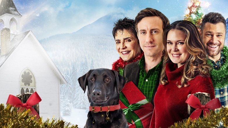 Miracle On Christmas (2020)