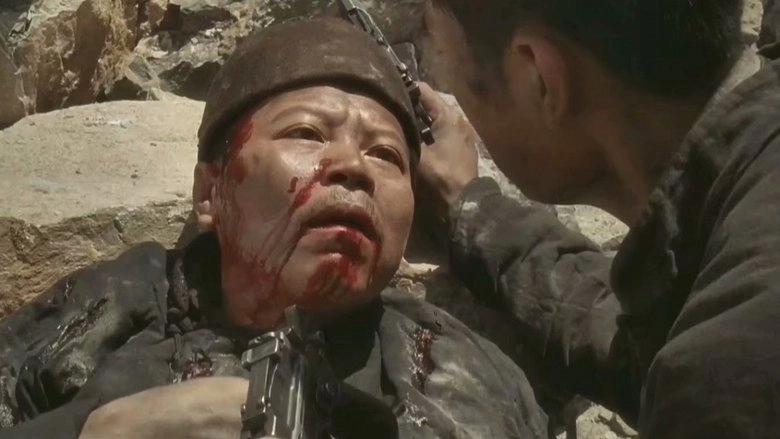 Fei Hu Dui (1995)