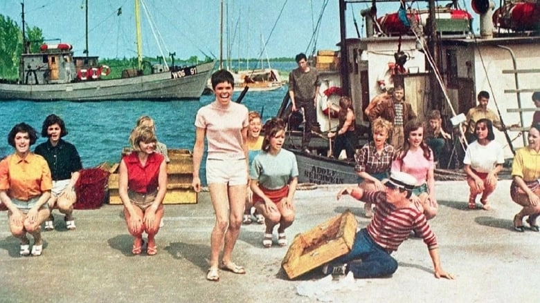 Heisser Sommer (1968)