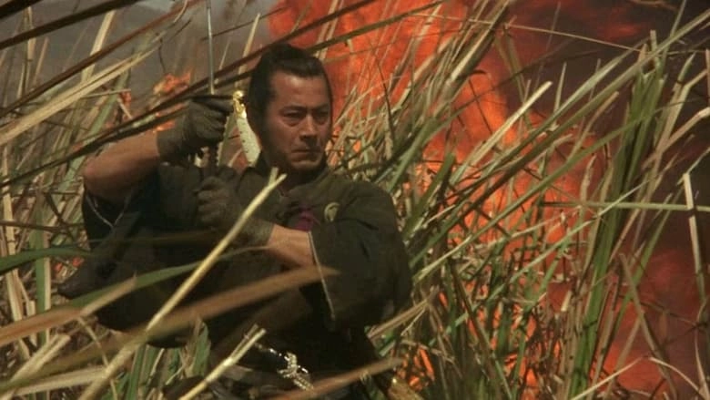 Red Sun (1971)