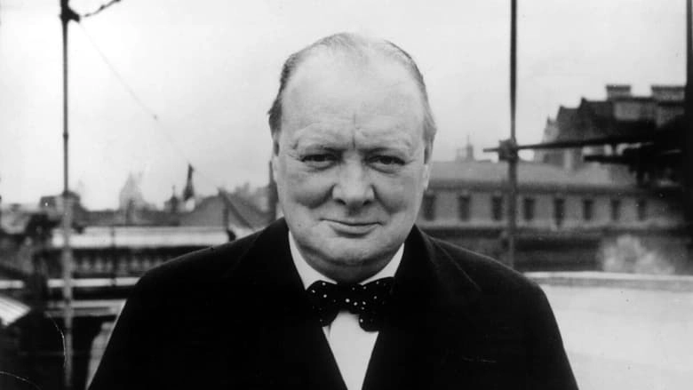 Winston Churchill: A Giant In The Century (2014)