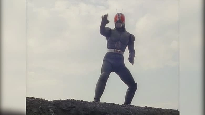 Kamen Rider 1 Through RX: Big Gathering (1988)