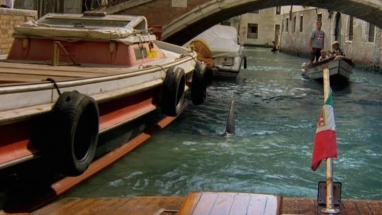 Shark In Venice (2008)