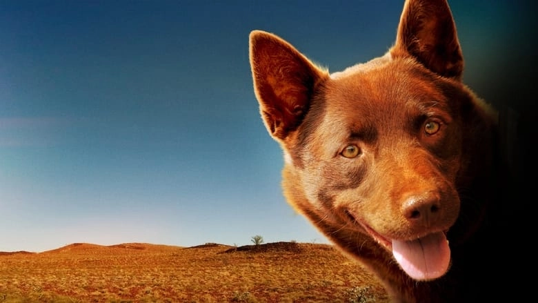 Red Dog (2011)