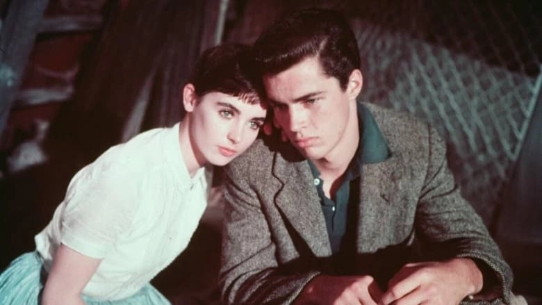 The Diary Of Anne Frank (1959)
