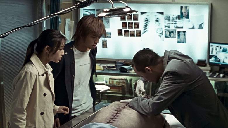 Silk (2006)