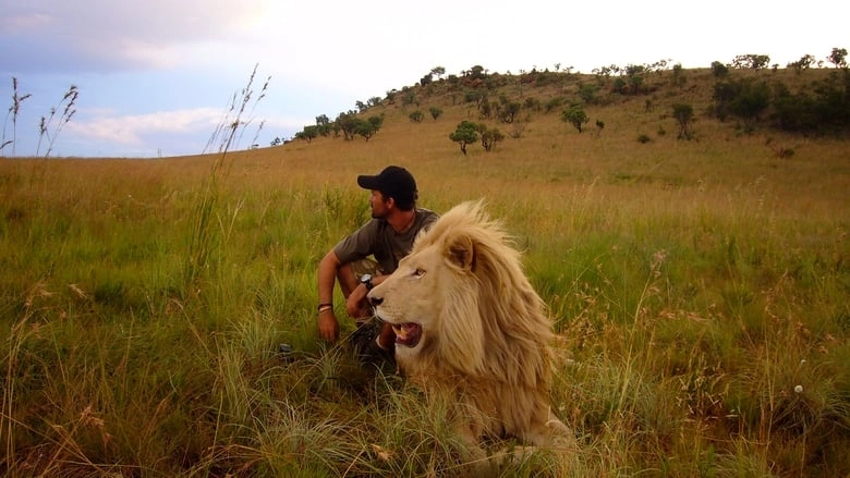 African Safari (2013)