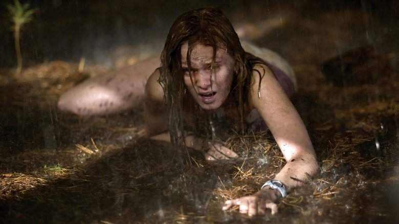 The Last House On The Left (2009)