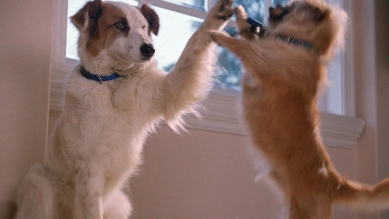 Paws To The Rescue (1999)