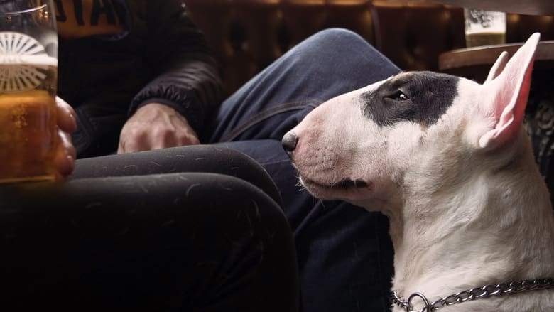 We Don't Deserve Dogs (2021)